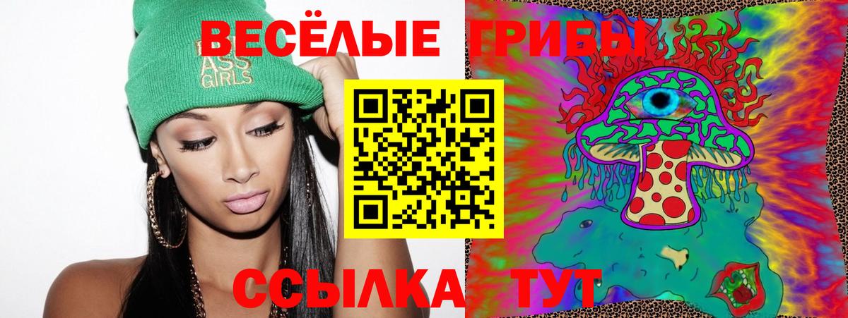 Псилоцибиновые грибы Magic Shrooms  Галлюциногенные грибы мицелий  купить  сайты  Черкесск  Вход с VPN 